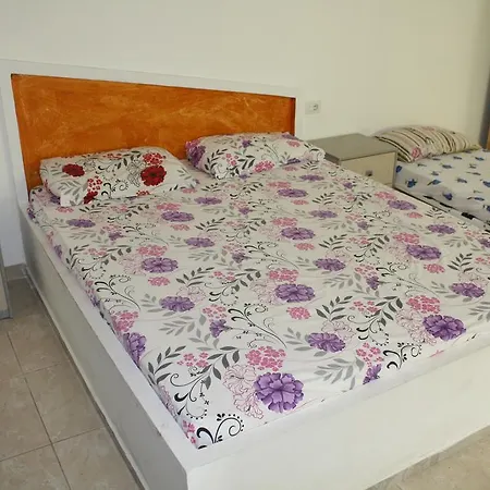Kavalieri